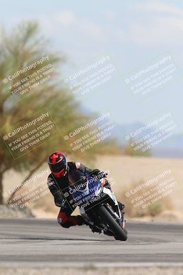 media/Oct-13-2025-Moto Forza (Mon) [[a66d839500]]/3-B Group/Session 4 Turn 4 Tree of Life/